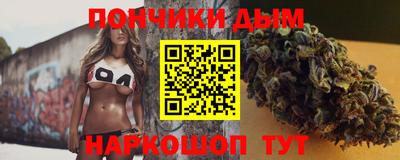 дмт Гатчина