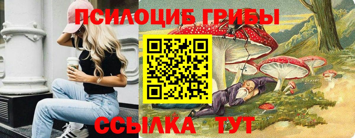 Псилоцибиновые грибы Psilocybine cubensis Валуйки